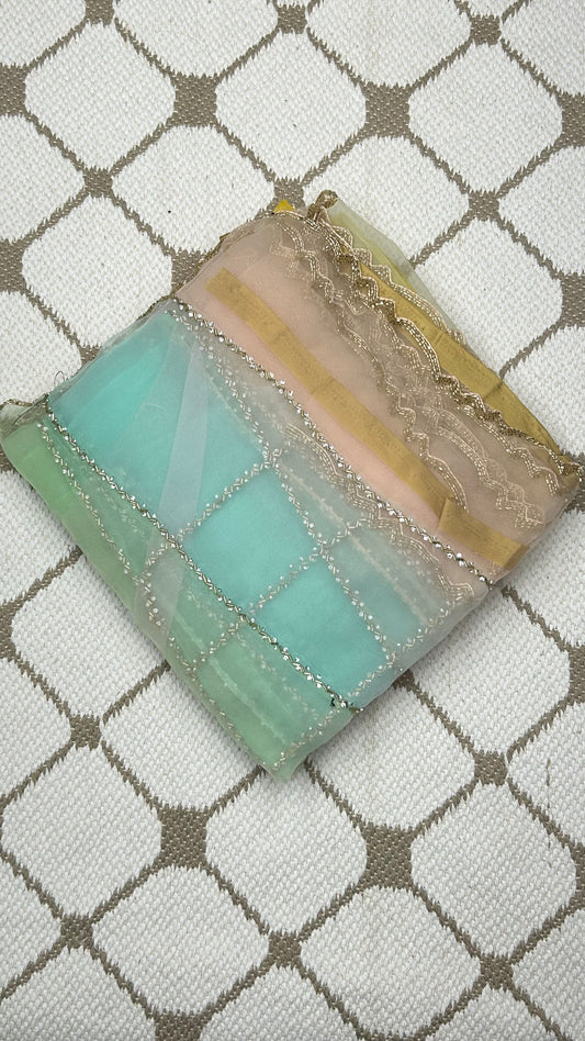 Premium Organza Handwork Saree – Pastel Multicolor🌈
