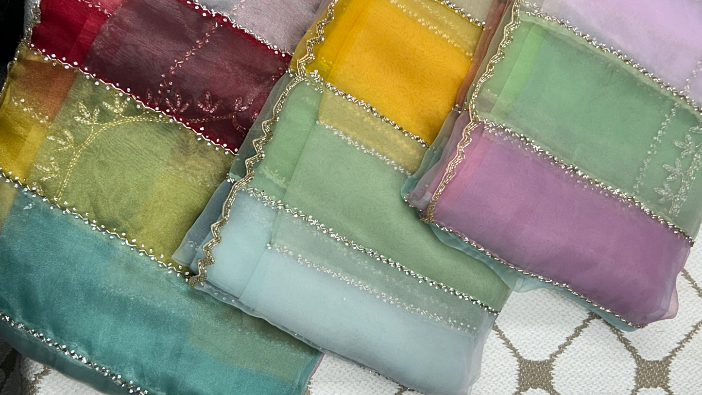 Premium Organza Handwork Saree – Pastel Multicolor🌈