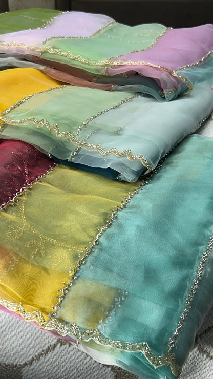Premium Organza Handwork Saree – Pastel Multicolor🌈
