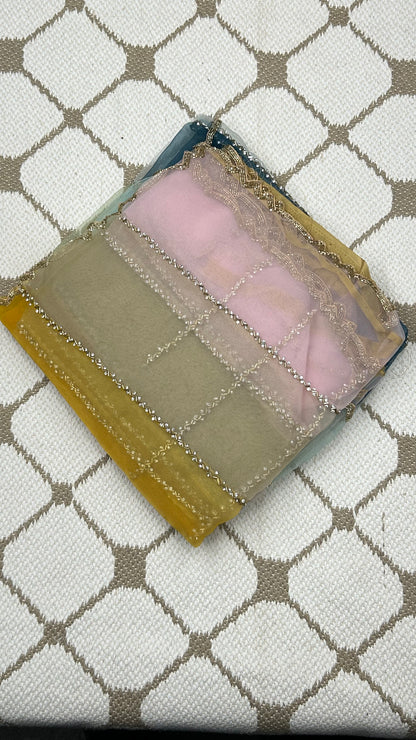 Premium Organza Handwork Saree – Pastel Multicolor🌈