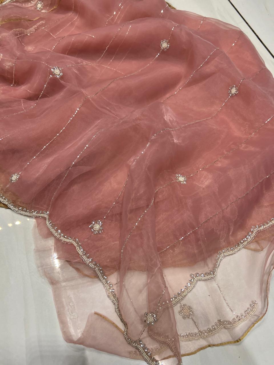 Soft Oraganza Saree With Pearl work🐚❄️