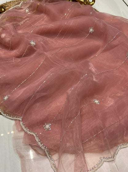 Soft Oraganza Saree With Pearl work🐚❄️