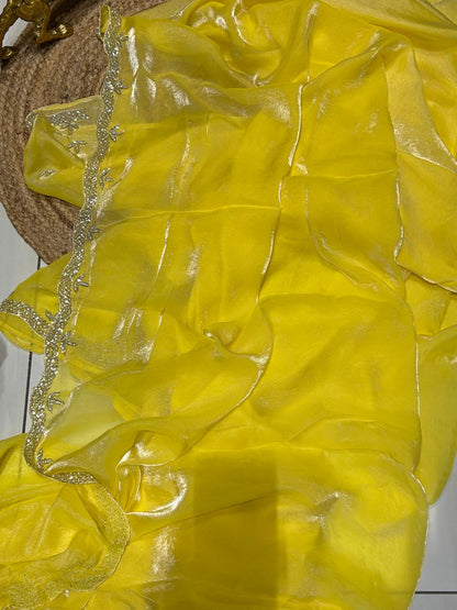 Premium Fancy Silk With Stone Work❄️🌼