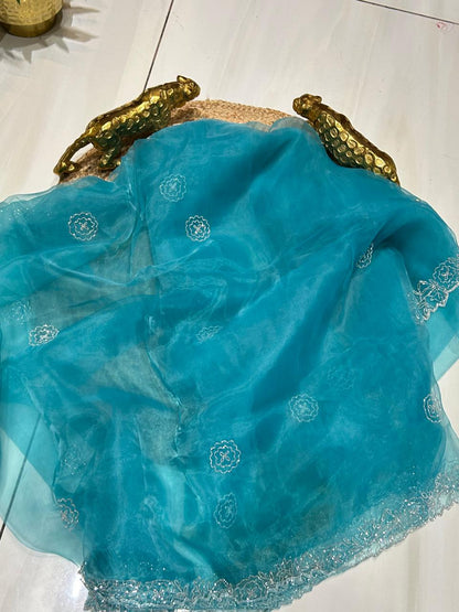 Premium Soft Organza🌸🌱