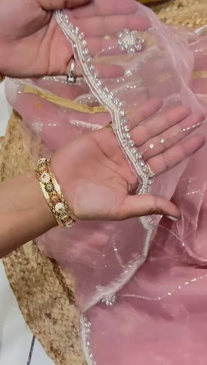 Soft Oraganza Saree With Pearl work🐚❄️