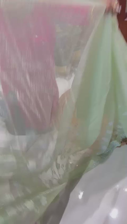 Premium Floral Organza Saree🌸❄️